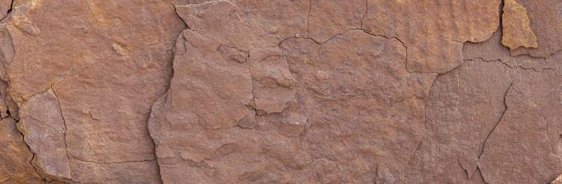 Quels types d'enduits choisir pour votre fa&ccedil;ade &agrave; Ars-en-R&eacute; ?